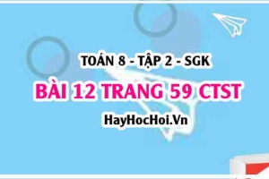 Bài 12 trang 59 Toán 8 Tập 2 Chân trời sáng tạo